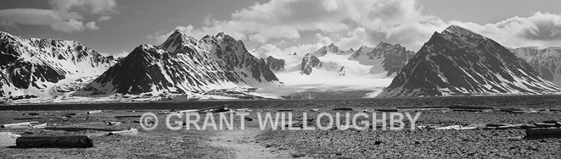  - Arctic