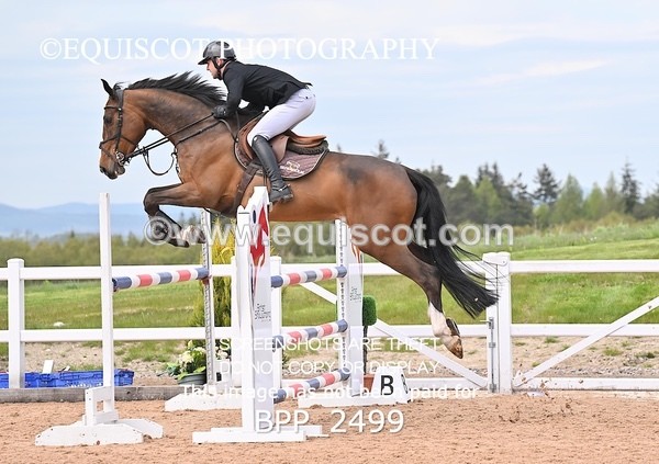 BPP_2499 - CLASS 7 - FRI - Senior Foxhunter/1.20m Open