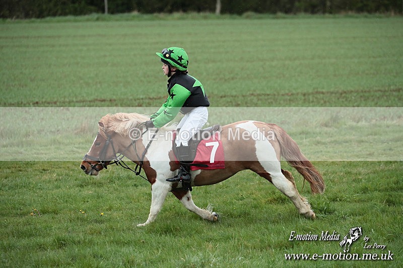 SHETPR 210425 227 - Shetland Ponies Paxford Races 21/04/25