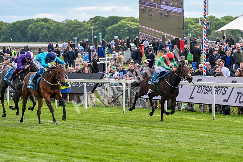 150526-Race 4-Love A Giggle-7738 - Race 4 3.30pm Design Tonic Out Of This World Spaces At The Races EBF Marygate Fillies' Stakes
