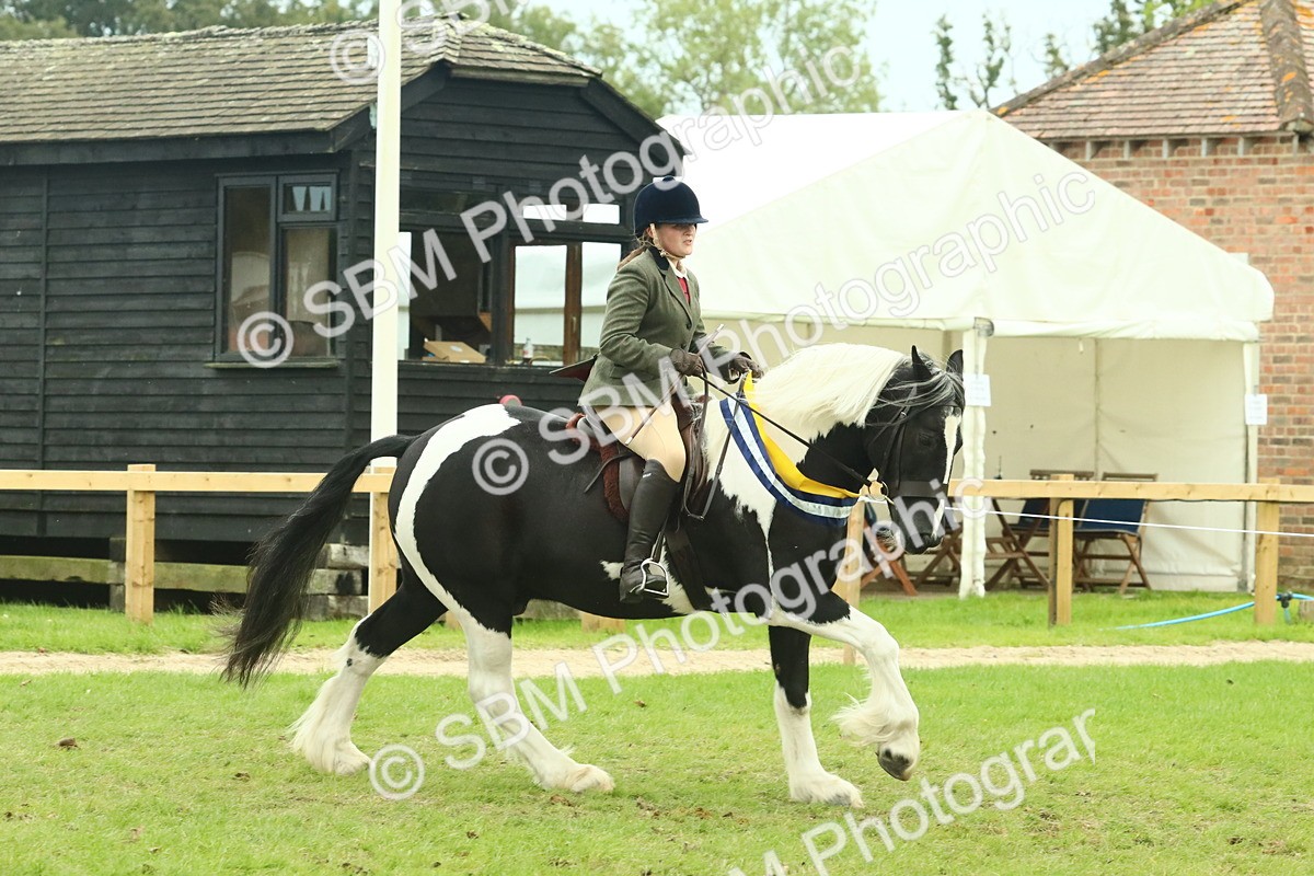 SBM_75174 - Super Supreme Championship