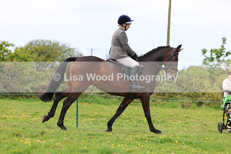 3E7A1225 - Class 7: Ridden Hunter Type