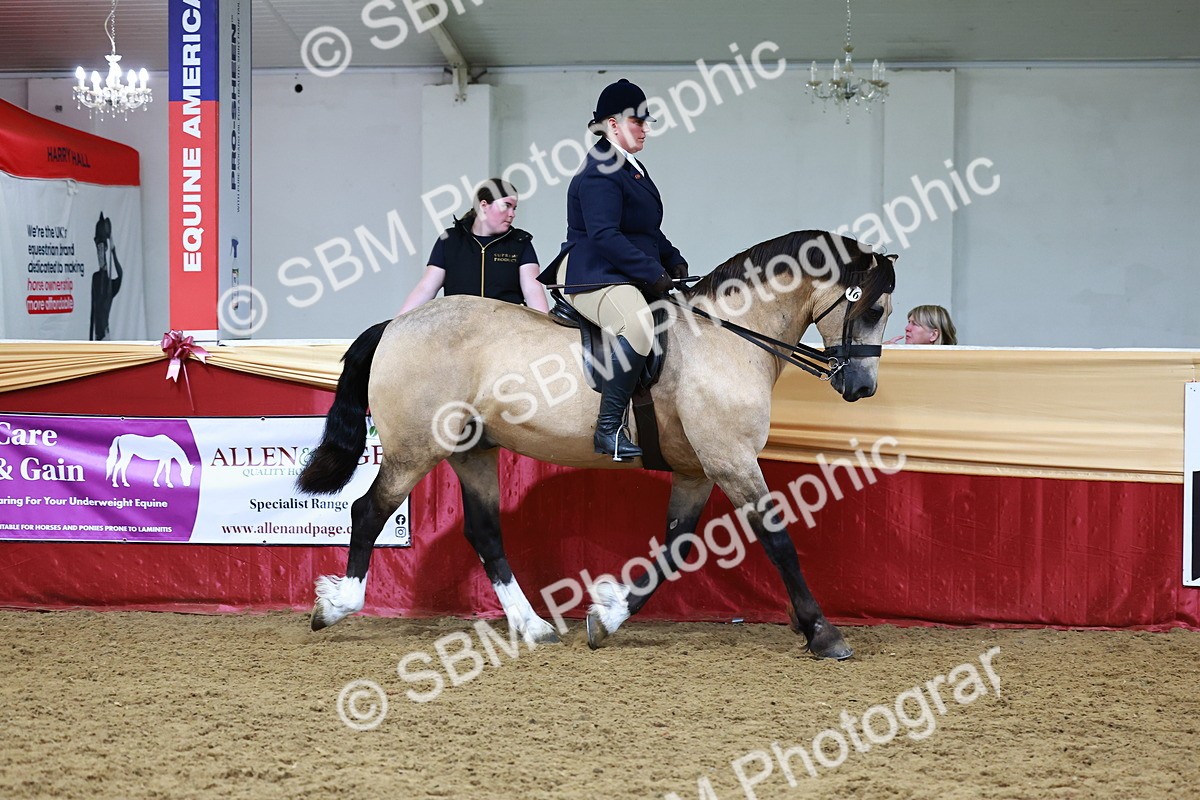 SBM_23445 - class 906 - Supreme Final - Ridden Pre Vet