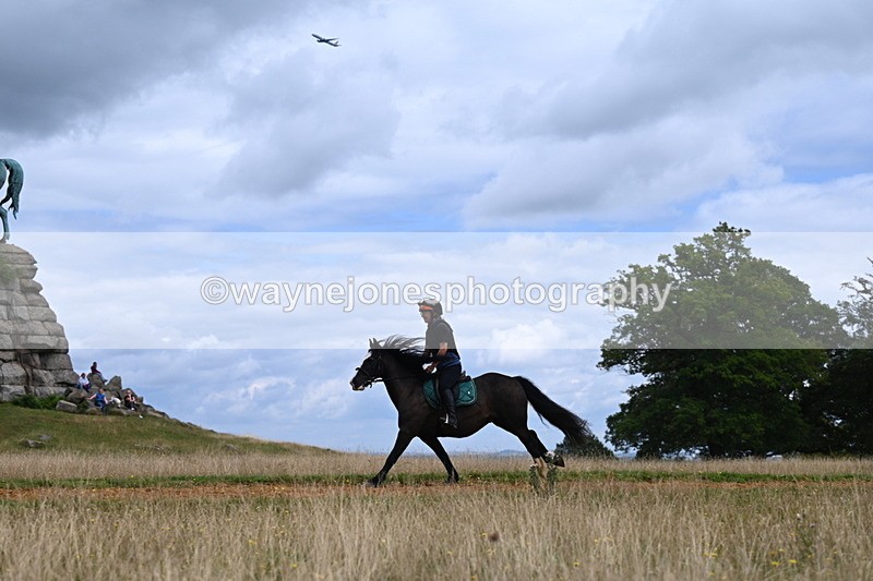 DSC_7140 - Time at Statue 12:45 to 13:15