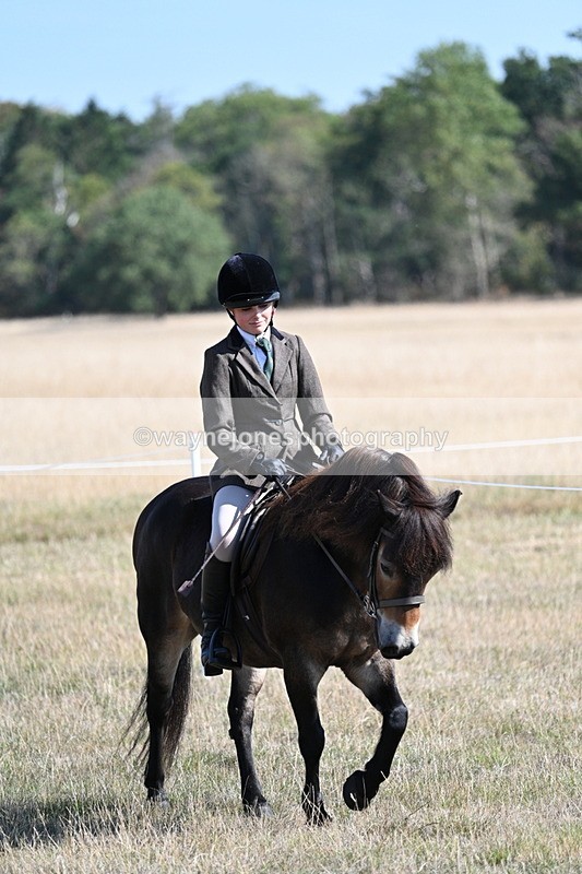 WJ7_3087 - Class 8 Ridden Tack & Turnout