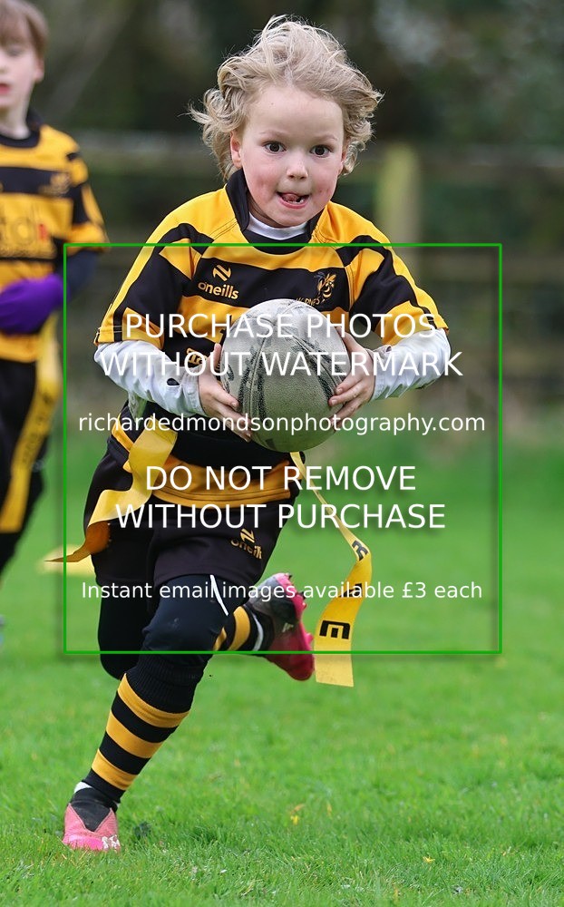 533A4944 - Kendal Rugby Mini & Youth (Sunday 12/4/26)