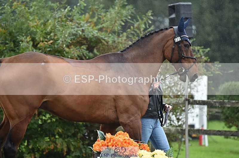 231018-122604-00290 - 035-ZADOK.D-Charlie.Piper-TrotUp