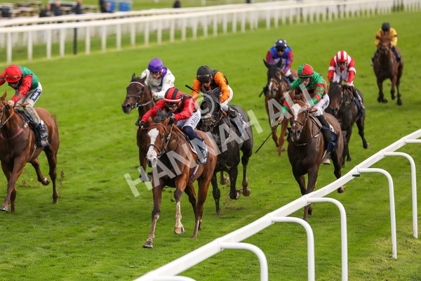 131023-Race 4-Hafeet Alain-9811 - Race 4 3.50pm William Hill Autumn Mile Handicap