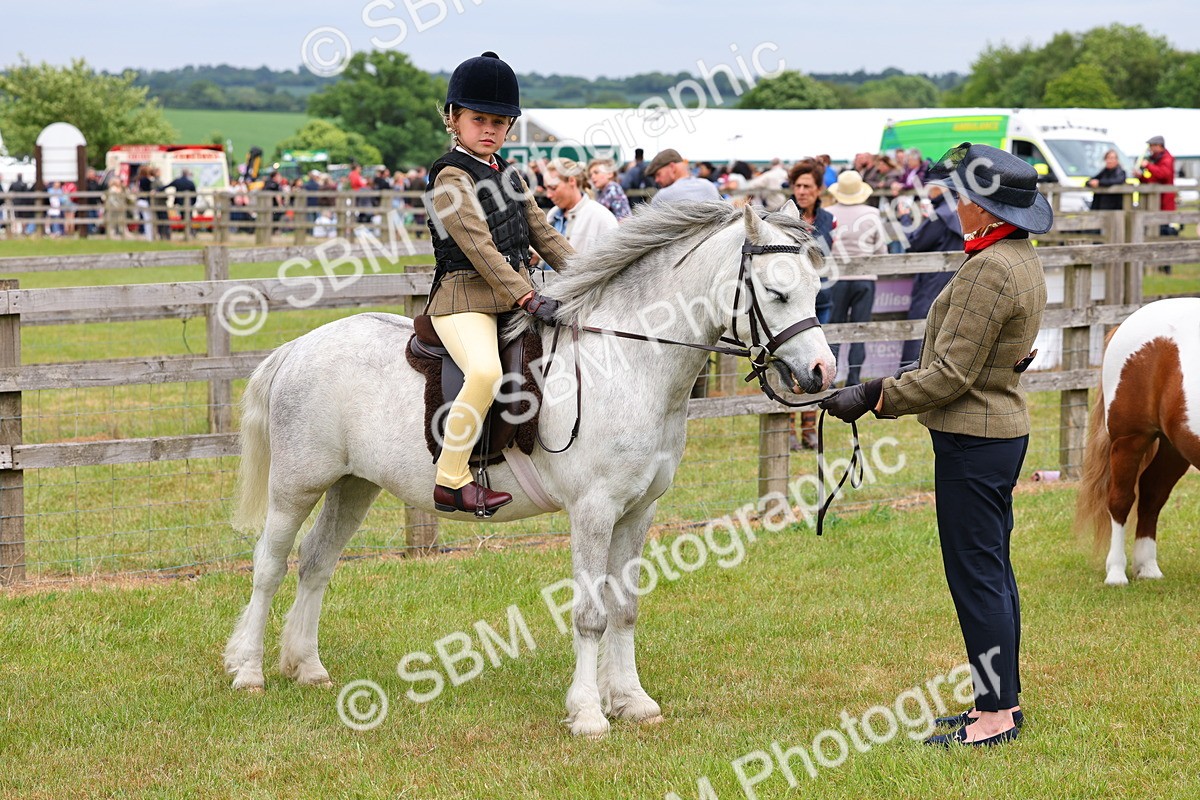 SBM_08331 - Class 42-43 - LIHS BSPS Heritage Working Sports Pony