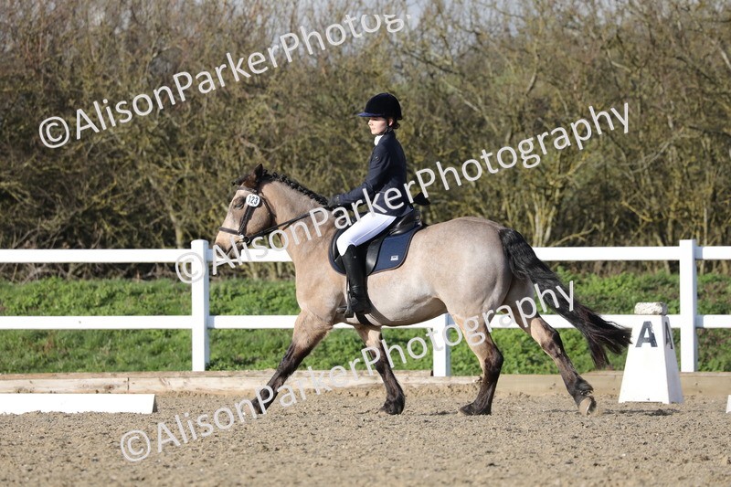 20260314-5928 - DR9 - PYO