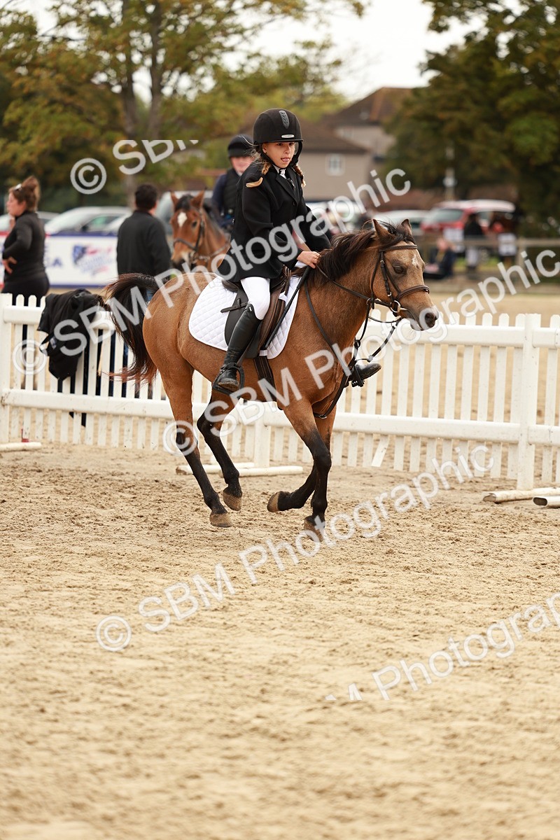 SBM_57831 - J11 - Junior Pony 50cm Championship