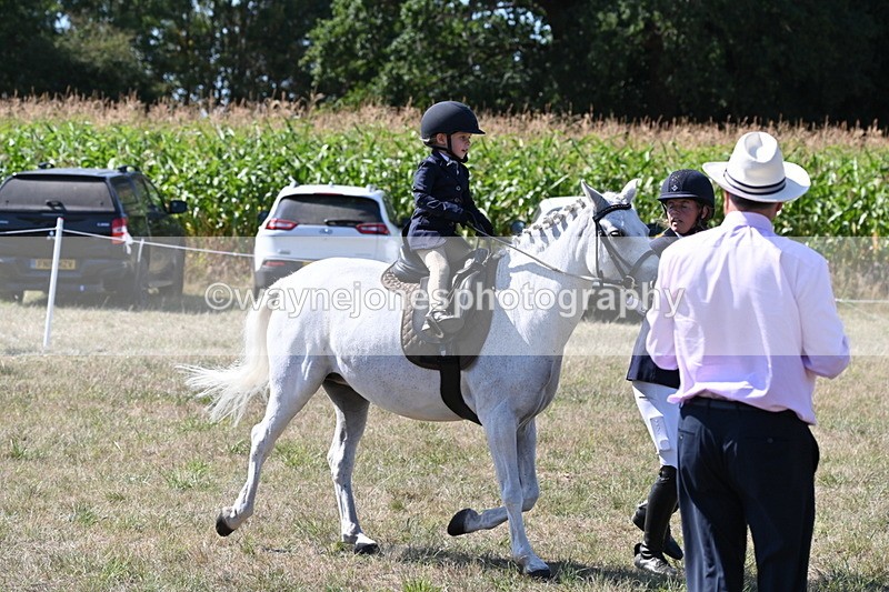 WJ6_8006 - Class 36 Lead Rein