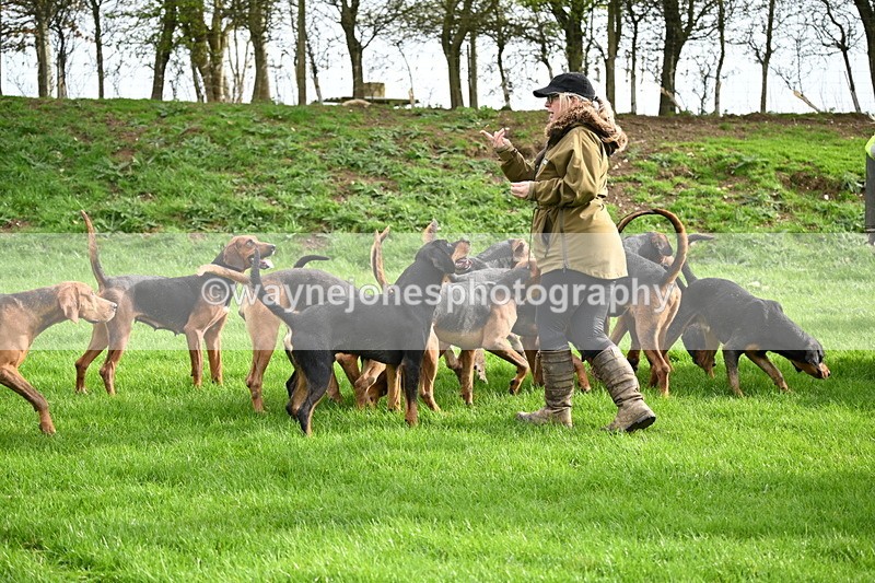 WJ6_9202 - Line Three