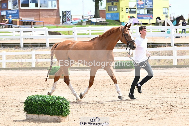 240717A-144248-02219 - Trot Up 2pm to 3pm - This folder is not in time order