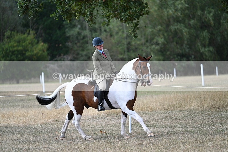 WJ7_7212 - Class 14 Ridden Coloured