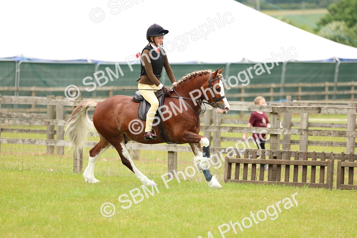 SBM_10363 - Class 44-45 - LIHS BSPS Open Nursery and Cradle Stakes