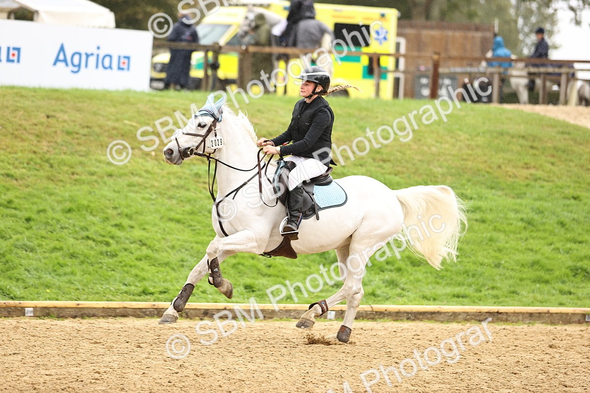 SBM_70037 - Supreme Championship 80cm 85cm