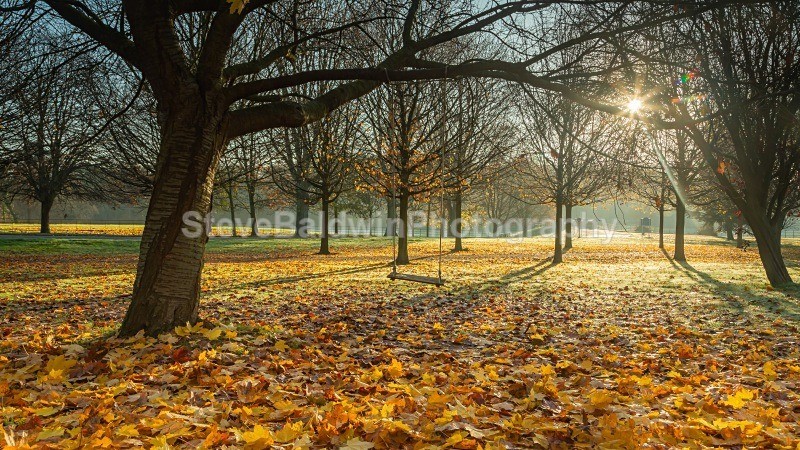 Autumn Playground Goldings:142E - Earth: Close to Home