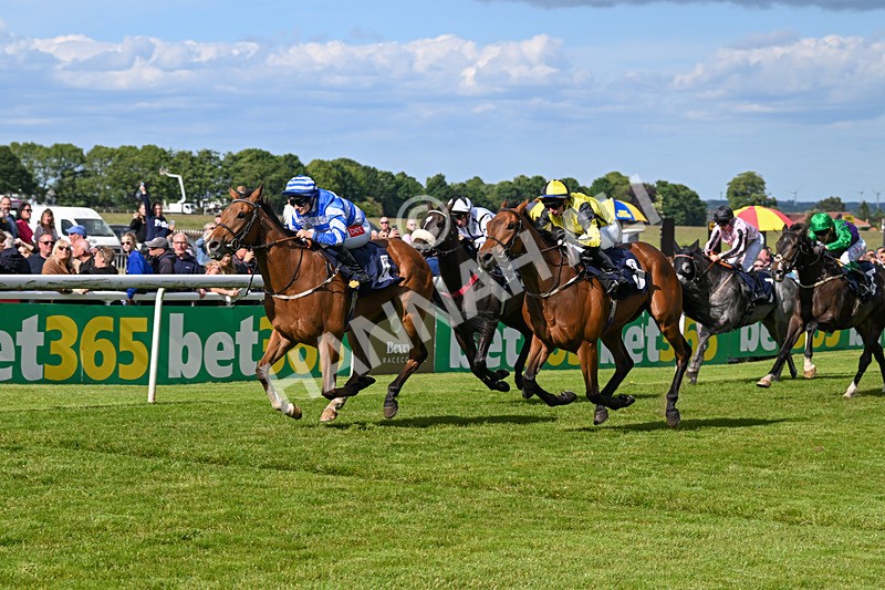 080624-Race 7-This Years Love-2055 - Race 7