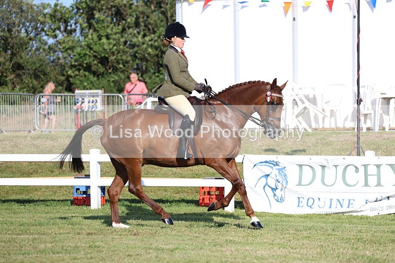 3E7A4964 - Class 1: Rising Star Small Hack/Riding Horses