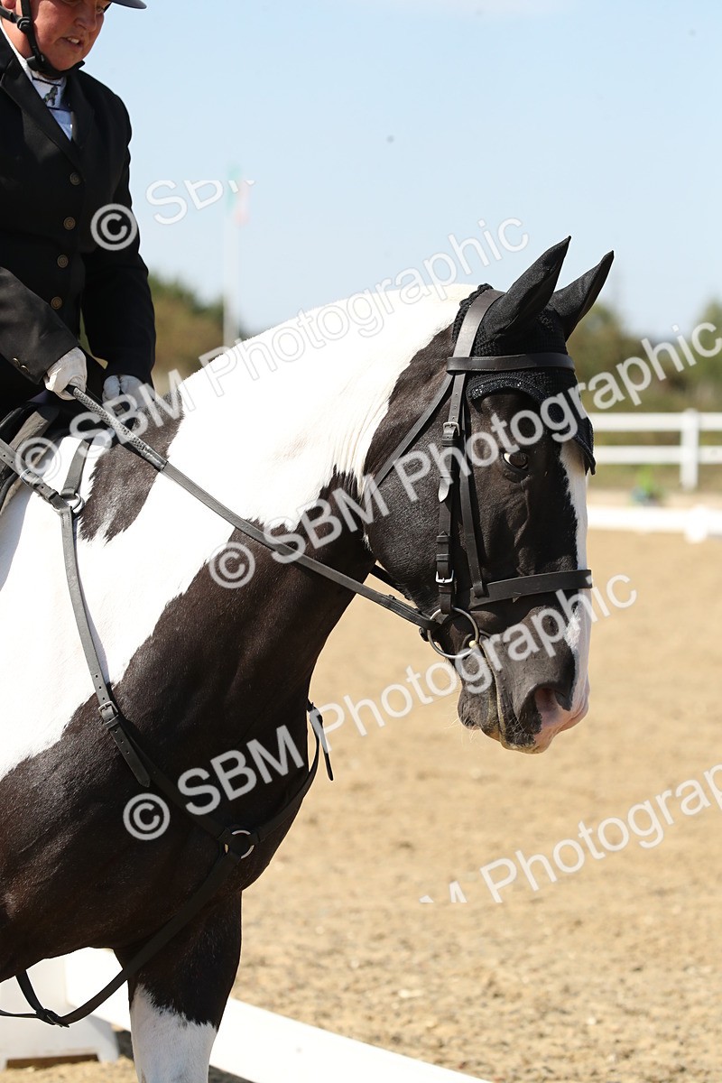 SBM_005852 - Class 11 - Novice 5 - 13.19-14.22