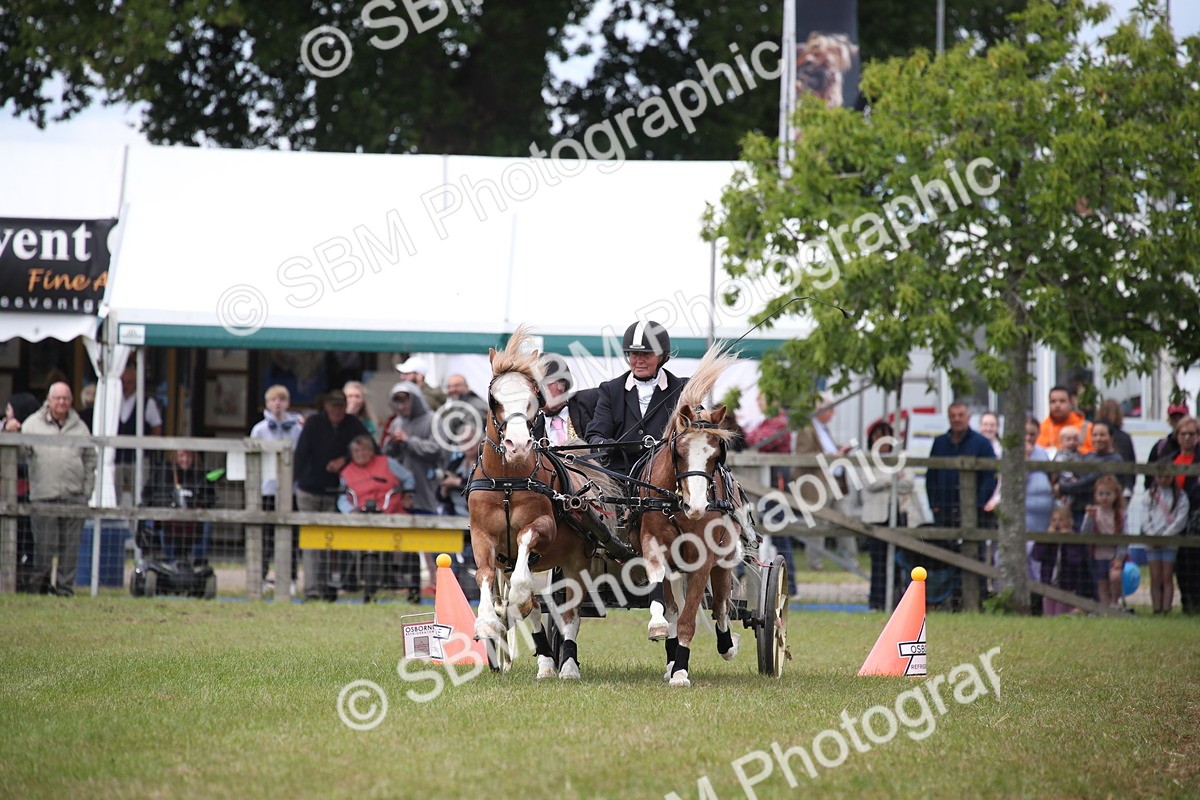 SBM_15496 - Class 90 - Scurry 122cm and Under