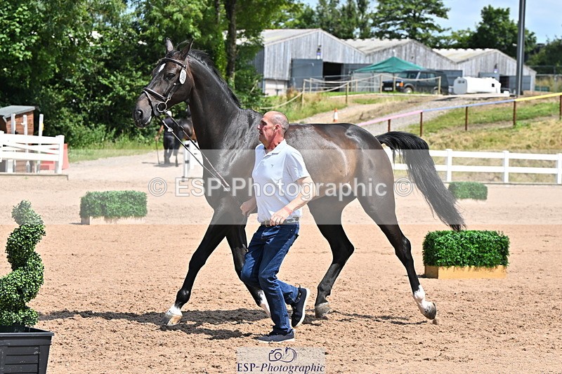 240718A-105258-01397 - Trot Up 12pm to 1pm