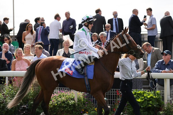 yr18082021r3-33 - Race 3 3.00pm Sky Bet Great Voltigeur Stakes