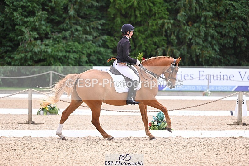 240809-131747-01065 - Preliminary Silver