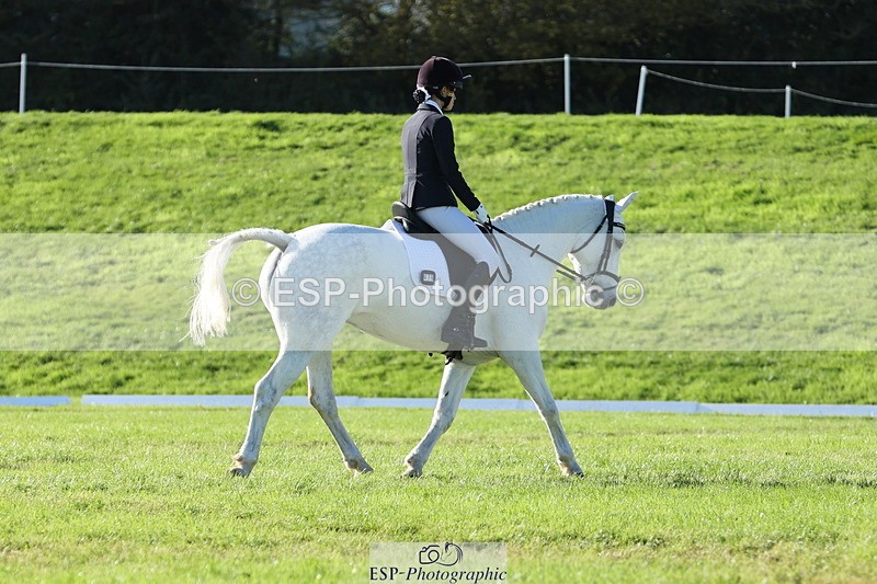 251024A-143957-14089 - F-479-Poppy.Wellman