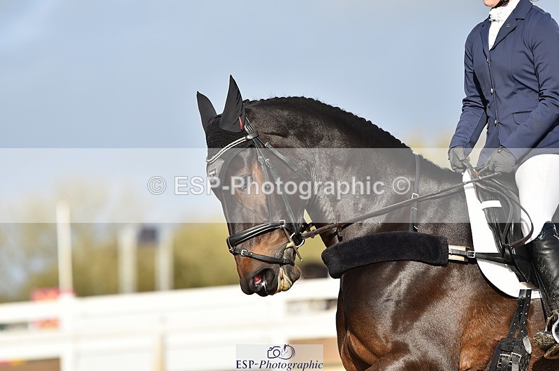 231104A-111952-01523 - Cls 5 Novice 37A