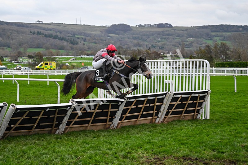 161125-Race 5-Cracking Rhapsody-6423 - Race 5
