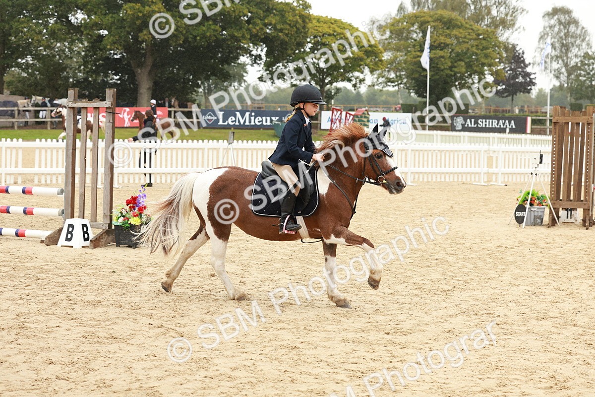 SBM_71068 - J14 - Junior Pony 65cm Championship