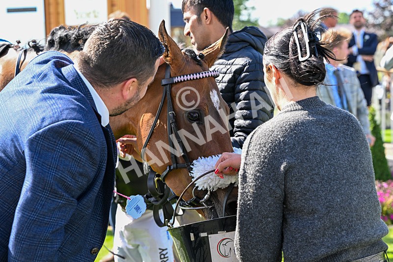120626-Race 6-Rotokura Belle-8411 - Race 6 16.45pm Dawson Williamson Architects Handicap
