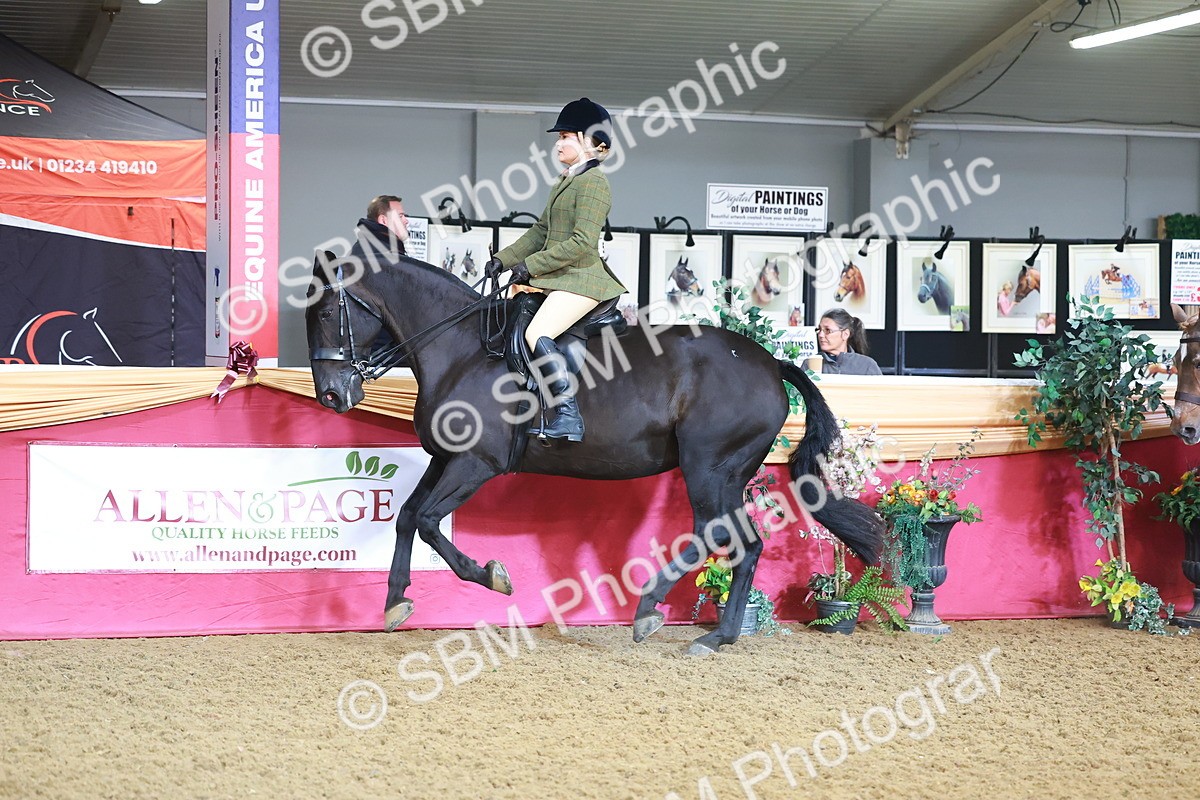SBM_07649 - Class 101 - HOYS Veteran Qualifier - Ridden Diamond