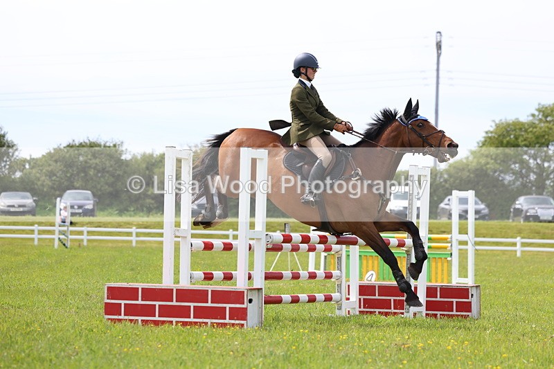 3E7A1869 - Class 13: Senior British Novice/90cm open
