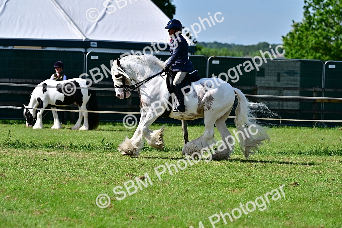 SBM_09336 - Class 63-65 - Traditional Gypsy Cobs In Hand & Ridden