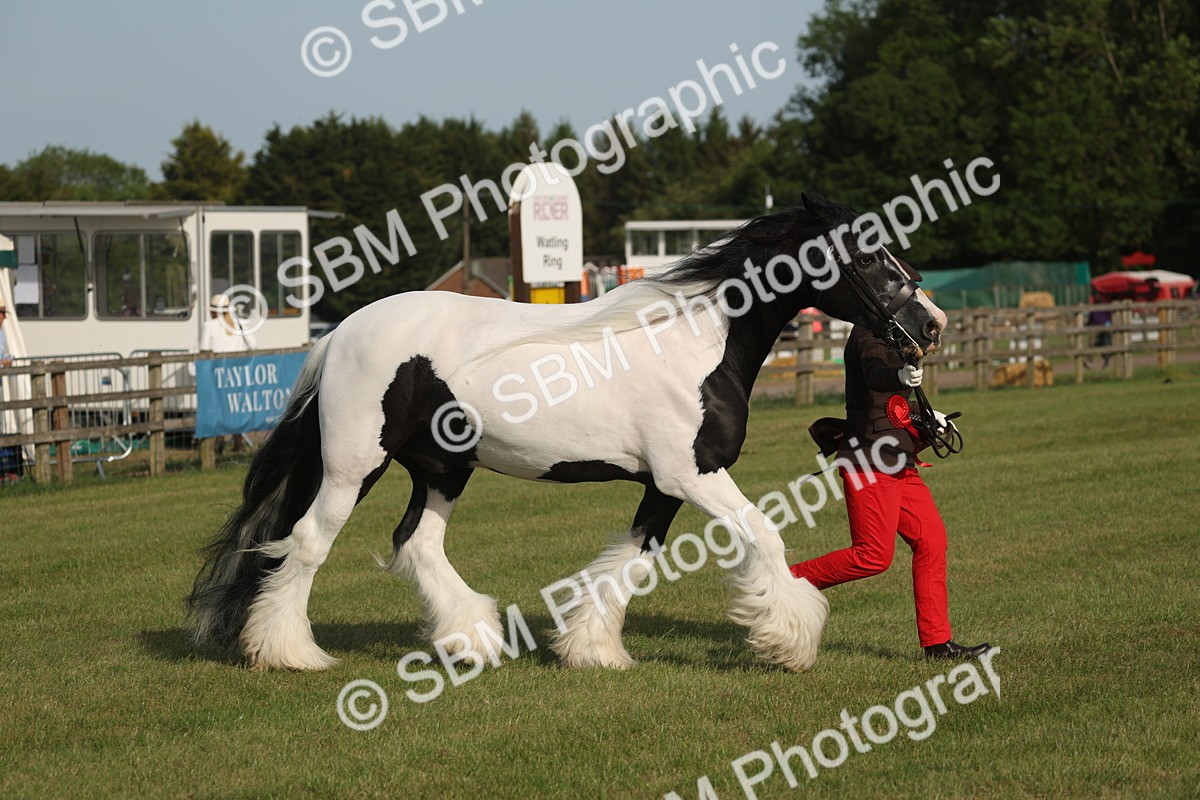 SBM_10567 - Class 33-38 - SSADL RIHS Qualifiers
