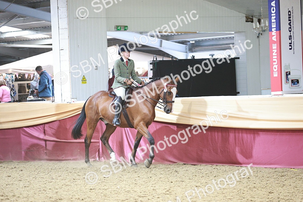 SBM_08821 - Class 12R - Regional Ridden Pre-Vet
