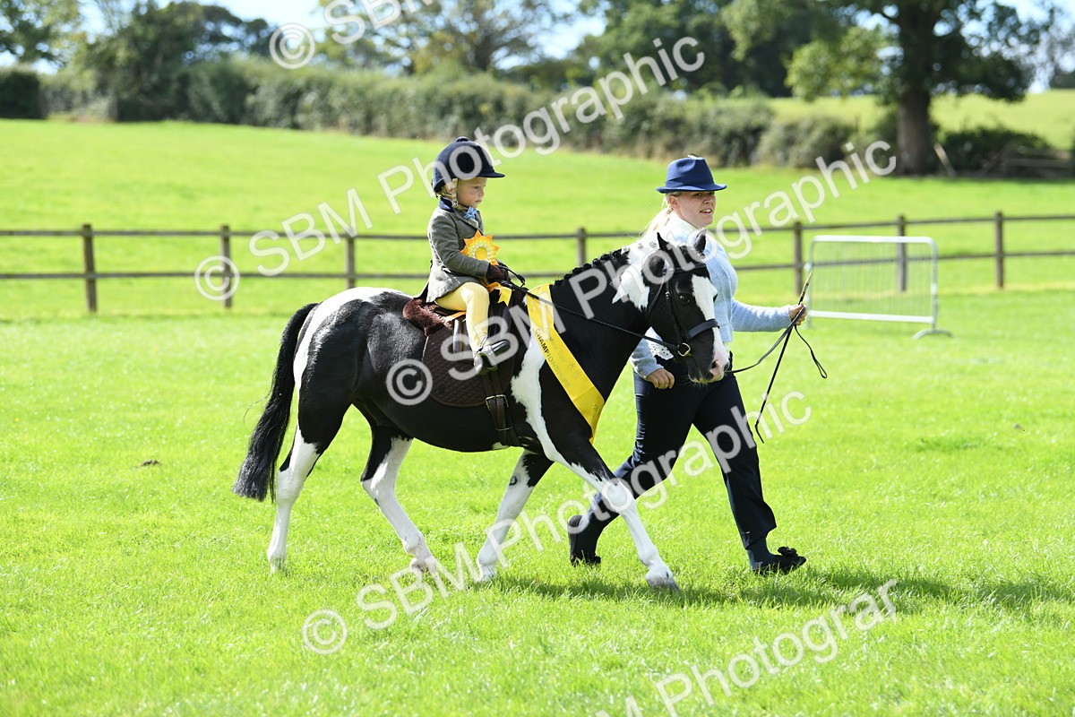 SBM_41280 - S19 - Lead Rein Show & Show Hunter Pony