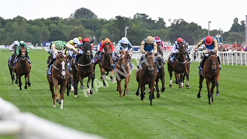 220826-135 Daiquiri Bay - Race 4 15.35pm Sky Bet Ebor Handicap
