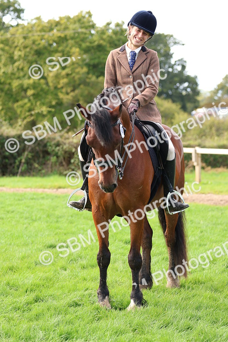 SBM_47790 - S28 - Veteran Ridden