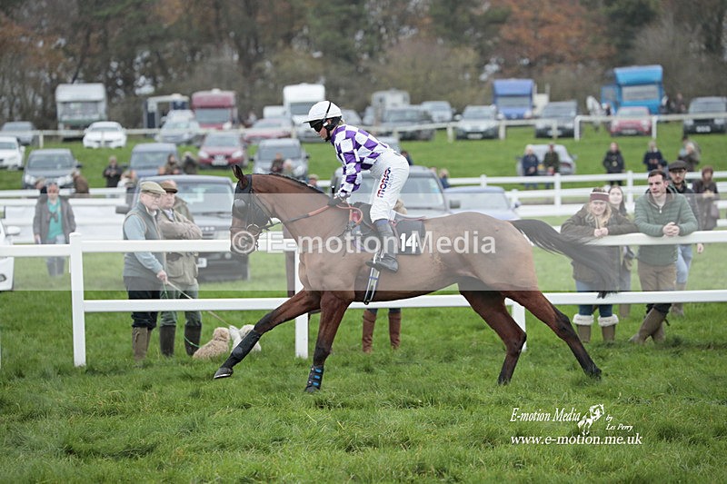 PtP 271122 478 - Hursley Hambledon Hunt Point-to-Point - Larkhill - 27/11/22