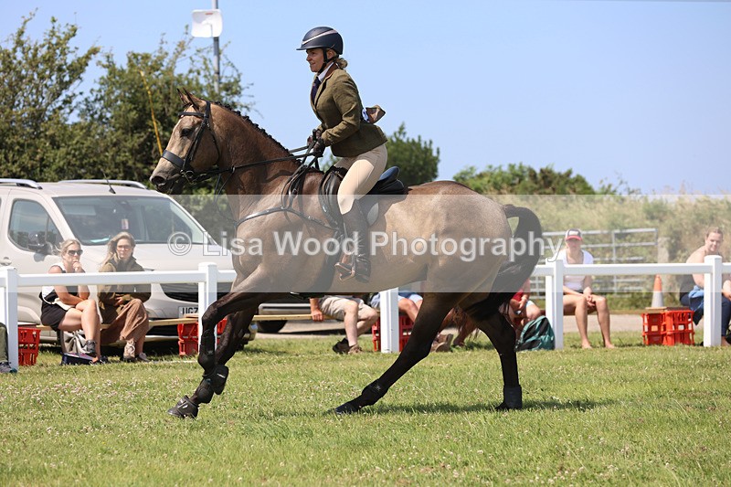 JPP_3140 - Class 22: Working Hunter 70cm