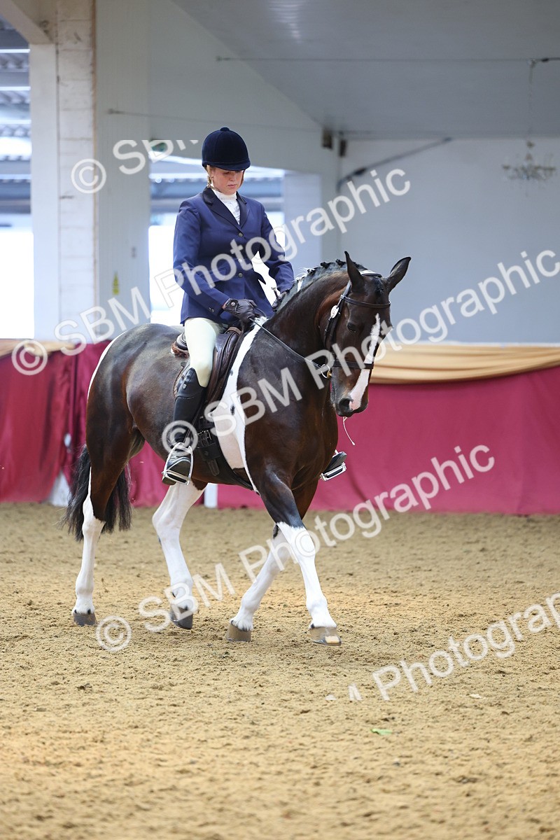 SBM_24638 - Class 906 - Supreme Final - Ridden Pre Vet