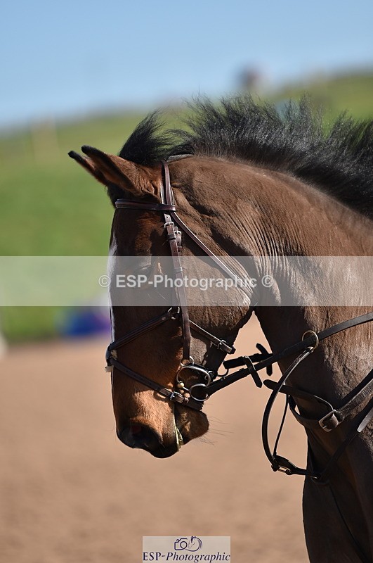 240306A-101030-00713 - Cls 1 British Novice and 90cm Open