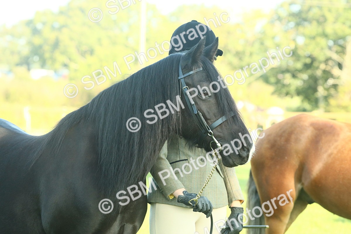 SBM_57481 - S37 - Starters In Hand Showing