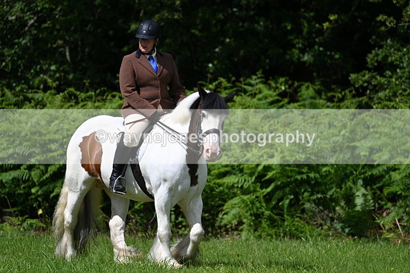 WJ7_1524 - Class 11 Condition & Turnout