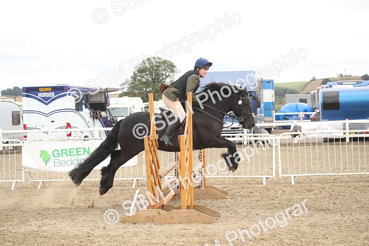 SBM_17720 - Class 508a - Working Veteran 70cm (15-19)