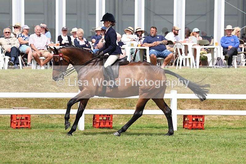 3E7A0587 - Rising Star Ridden Championship